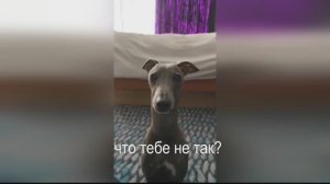 Что тебе не так? Что ты хочешь?