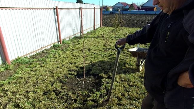 Субботний огород и прокаливание казана.