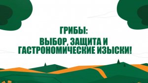 Грибная ферма дома: как вырастить вешенки и не только?