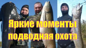Яркие моменты. #Подводная охота.