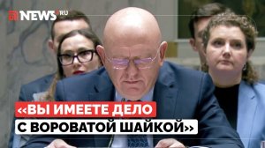 Небензя описал скандал на Украине цитатой из «Двенадцати стульев»