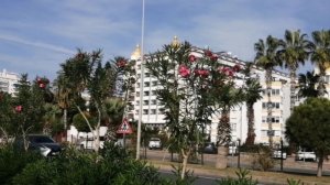 21 ноября+26° ТИХОЕ, ЛАСКОВОЕ МОРЕ +23°. ТУРЦИЯ 2025. #türkiye2025 #alanya #mahmutlar