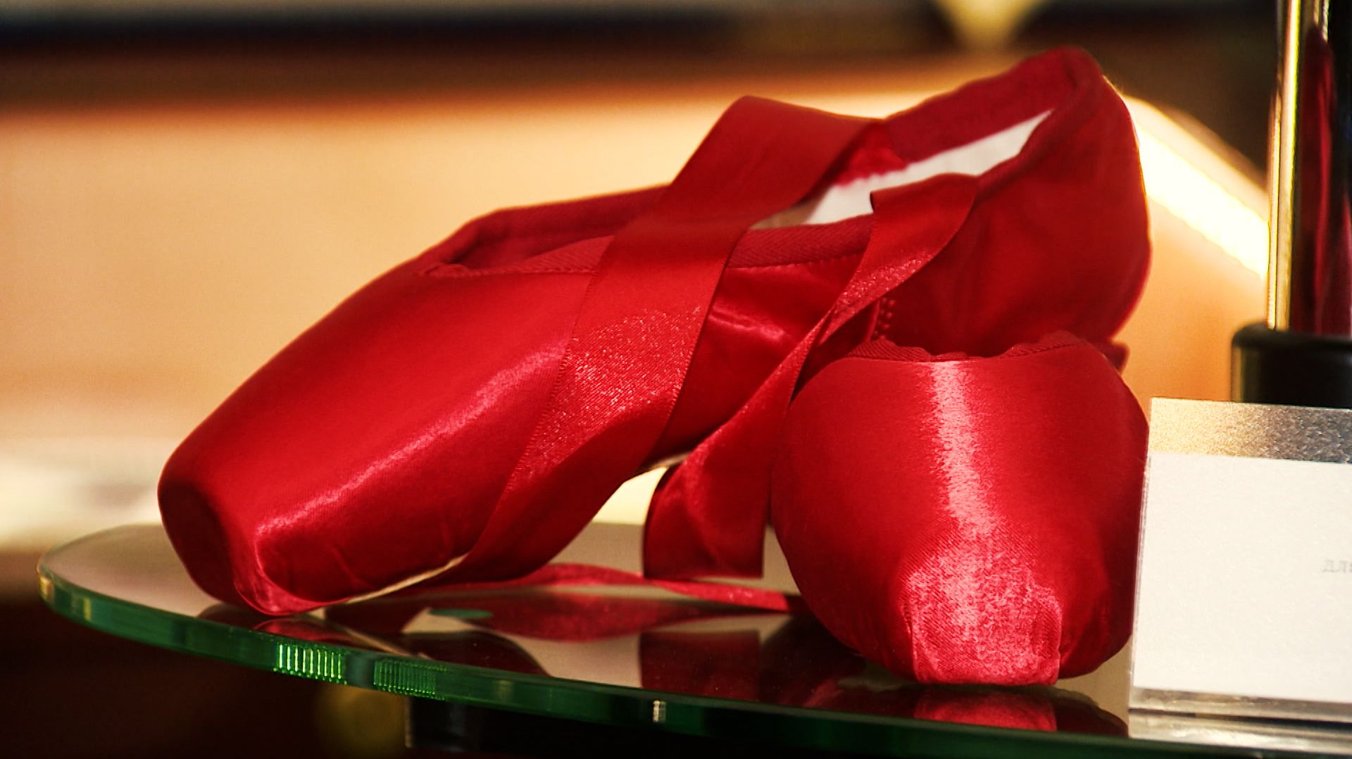 Культурная эволюция. 21 ноября