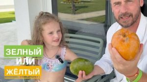Какое манго вкуснее: жёлтое или зелёное?