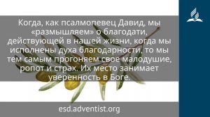 22 ноября 2025. Дух благодарности. Под сенью благодати | Адвентисты