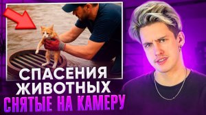 СПАСЕНИЯ ЖИВОТНЫХ, СНЯТЫЕ НА КАМЕРУ
