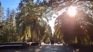 СОЧИ. ПОГРУЗИТЕСЬ В АТМОСФЕРУ ОТДЫХА И КРАСОТЫ ПРИРОДЫ...🌴🌞