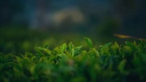 ✟ Зайди и помолись Творцу ✟ И пусть весь мир подождёт _ христианский сборник.