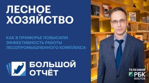 Лесное хозяйство: как в Приморье повысили эффективность работы лесопромышленного комплекса