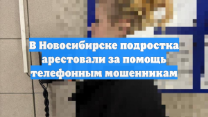 В Новосибирске подростка арестовали за помощь телефонным мошенникам