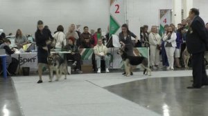 Сравнение на ЛЩ