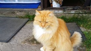 14-Дача..отдых на фазенде.