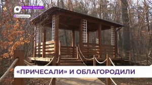 Реконструкция Ботанического сада ДВО РАН в пригороде Владивостока продолжается