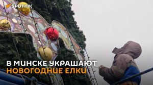 На одной из самых эффектных елок Минска установили звезду