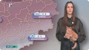 Котопогода Катунь 24