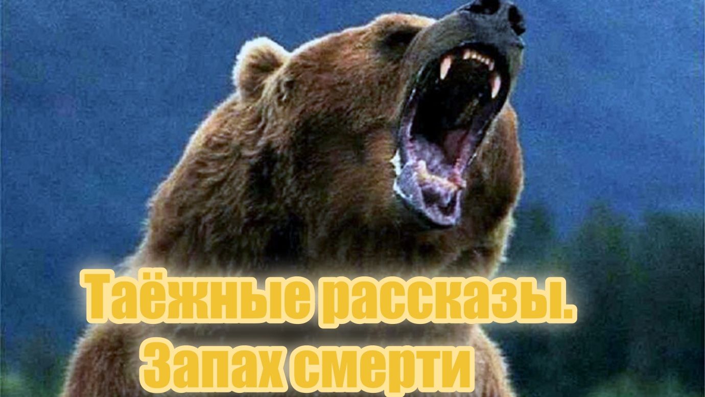 Таёжные рассказы. Запах смерти