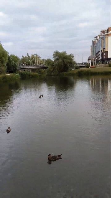 Белгород-парк победы.