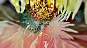 Видеофоны! Видеофон Осенняя цветочная фантазия 2 от Киностудии Мудрого Кота Тимофея!