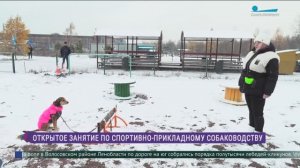 Не будет кусачей: занятие по спортивно-прикладному собаководству