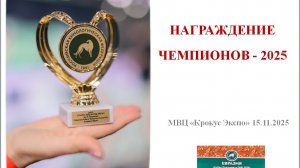 Награждение Чемпионов 2025