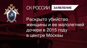 Раскрыто убийство женщины и ее малолетней дочери в 2015 году в центре Москвы