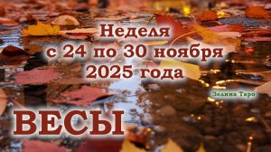 ВЕСЫ | ТАРО прогноз на неделю с 24 по 30 ноября 2025 года