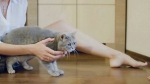 Воскресный дайджест: Анхель, кошки-долгожители, авиация и многое другое! 🚀🌍😂”