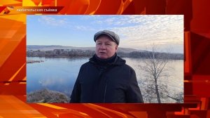 Поповский пруд облюбовали лебеди