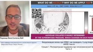 Визуализация легких при ОРДС как проводить Лоренцо Балл
