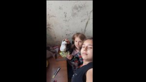 Подборка 3 новых видео, все песни, которые были в третьем видео в описании |;)