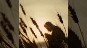 🐎 Как трусливый Роберт Форд убил Джесси Джеймса 🐎