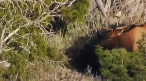 Подпишись 👉 https://www.avito.ru/sankt-peterburg/odezhda_obuv_aksessuary/podveska_iz_nefrita_kle...