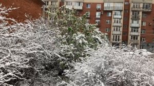 Снежное утро в ноябре.