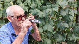 Карвина, Данило, Лолита Торрес, на участке Шульгинова В.Н.