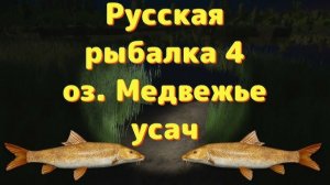 Усач на озере Медвежье Русская рыбалка 4