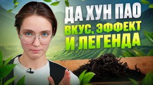 Узнать за 8 минут — всё о легендарном китайском чае Да Хун Пао.