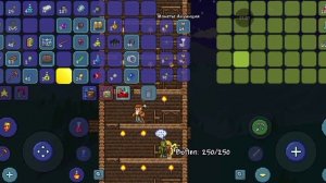 короткое терраио №1