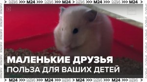 Россиянам рассказали, что маленькие животные полезны для детей