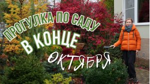 Прогулка по саду в октябре