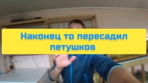 НАКОНЕЦ ТО ПЕРЕСАДИЛ ПЕТУШКОВ