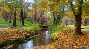 03.29  88,3Мб. ОСЕННЯЯ ЭЛЕГИЯ МАДАМ    Ноябрь 2025