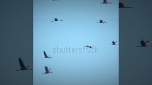 Песня прощания © Copyright: Бронислав Сычёв, 2022
Свидетельство о публикации №122102302238