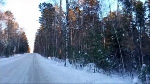 Поставил новыек покрышки на велик. Приютил бродячего кота но котяра меня покусал.