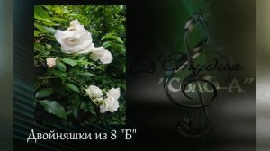 Двойняшки из 8 "Б"