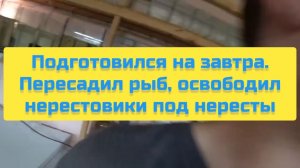 ПОДГОТОВИЛСЯ НА ЗАВТРА. ПЕРЕСАДИЛ РЫБ, ОСВОБОДИЛ НЕРЕСТОВИКИ ПОД НЕРЕСТЫ