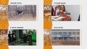 Прямой эфир: "ГОРОД в 19:00"