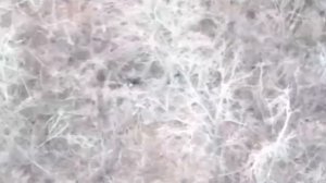 ‼️🇷🇺Северск🇷🇺Наши штурмовые роты уже в центре города. Логистика ВСУчек к городу обрезана😎🤙🇷🇺