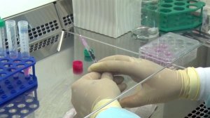 Минздрав разрешил использование двух инновационных вакцин против рака