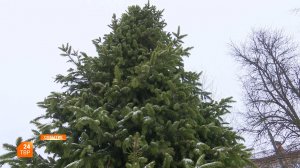 Елка на Клементьевке зажжёт огни