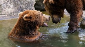 ЭТИКЕТ ДЛЯ МАЛЫШЕЙ (online-video-cutter.com)